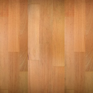 Faggio3stripnaturale